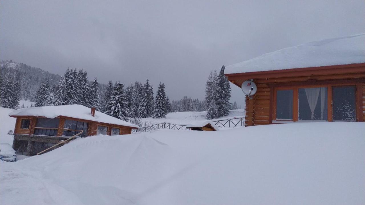Вила Морава بامبوروفو المظهر الخارجي الصورة