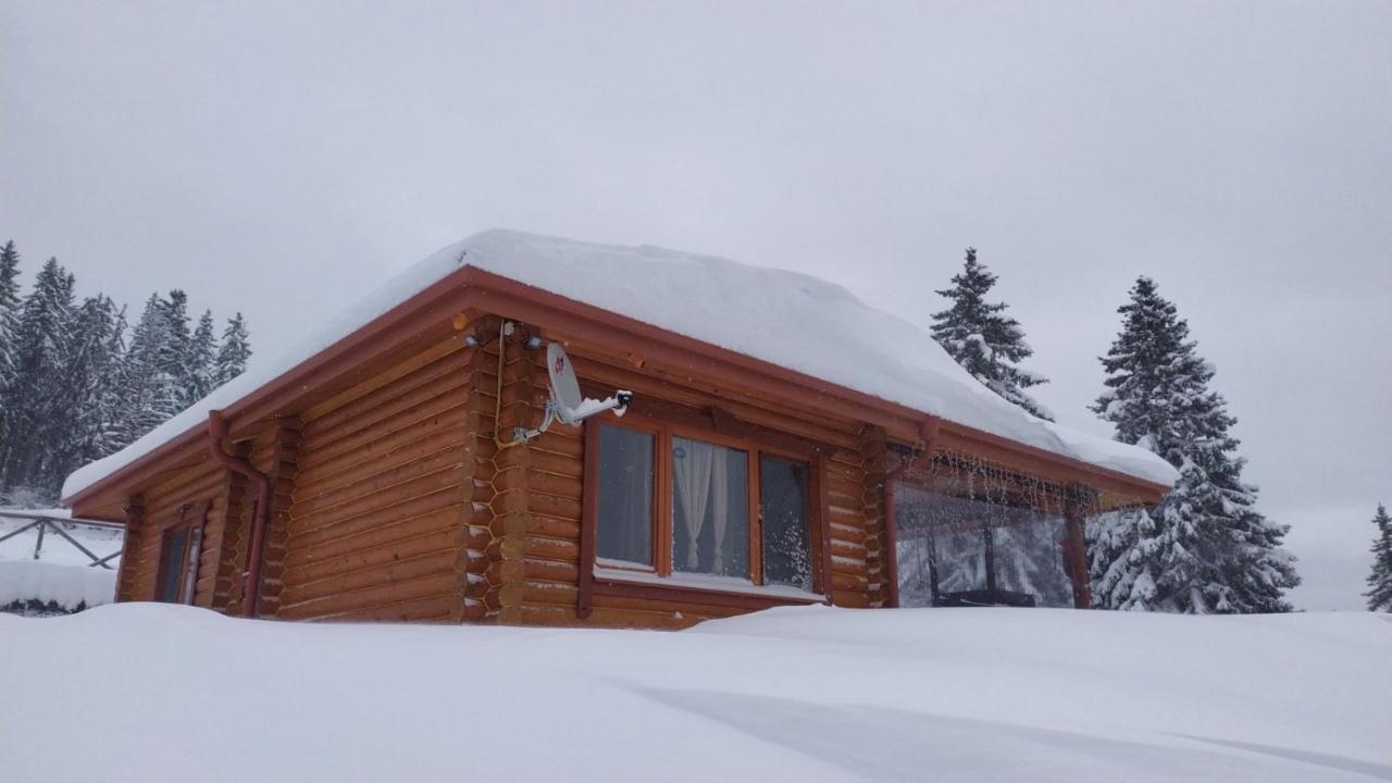 Вила Морава بامبوروفو المظهر الخارجي الصورة